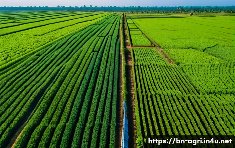 농업 혁신 스타트업 사례 - A vibrant aerial view of a lush green agricultural field in Bangladesh monitored by a modern drone e...