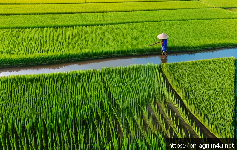 농업 AI 기반 영농일지 관리 - A vibrant aerial view of a lush green paddy field in Bangladesh, captured by a drone at golden hour,...