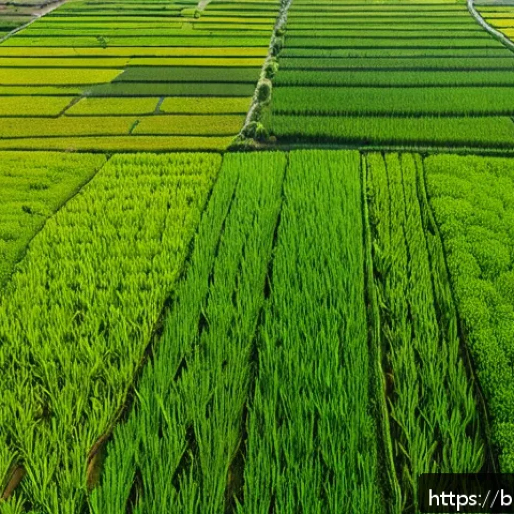 농업 경영 전략 - A vibrant aerial view of a lush rice field in rural Bangladesh captured by a drone, showing detailed...