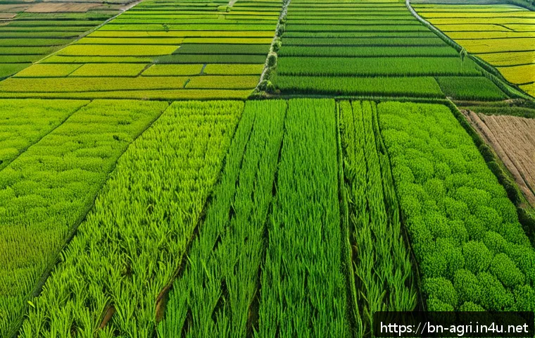 농업 경영 전략 - A vibrant aerial view of a lush rice field in rural Bangladesh captured by a drone, showing detailed...