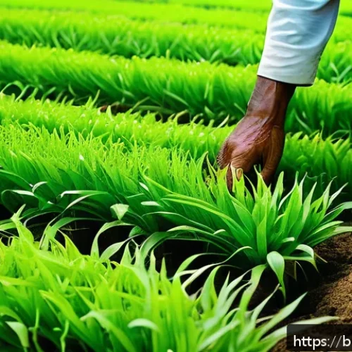 농업 신소재 연구 - A detailed close-up of a Bengali farmer's small agricultural plot featuring lush green crops being n...