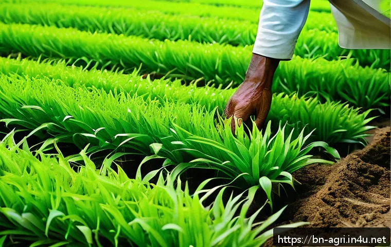 농업 신소재 연구 - A detailed close-up of a Bengali farmer's small agricultural plot featuring lush green crops being n...