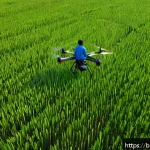 농업용 자율주행 기술 - A high-resolution image of a modern agricultural drone flying low over a vast green paddy field in B...